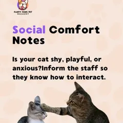Let us know your cat's personality. Sharing social comfort notes about whether your cat is shy, playful, or anxious helps our staff interact with them in the best way possible.