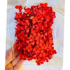 A close-up of our vibrant red dried hydrangea flowers. These real, preserved flowers maintain their color and shape, making them ideal for embedding in resin.