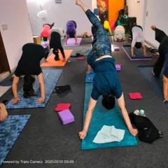 Here, students are practicing a variation of Adho Mukha Svanasana, or Downward-Facing Dog, using blocks for support. This is a great way for beginners to build strength for inversions.