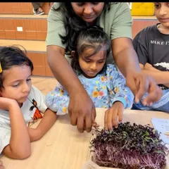 An instructor guides children as they learn about microgreens. We believe in hands on learning to connect kids with the food they eat.