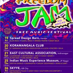 A poster for the Freedom Jam music festival, where my band Southern Discomfort performed at Skyye bar.
