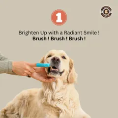 A radiant smile starts with regular brushing. Dental hygiene is often overlooked but is crucial for your dog's overall health, preventing bad breath and other issues.