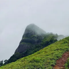 Discover Kurinjal, a moderately challenging 14 km trek within the Kudremukh National Park. It's a journey through dense forests and misty peaks, perfect for those looking for a true wilderness experience.