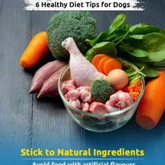 A healthy diet is the foundation of a long life. This guide covers 6 essential tips, starting with the most important: stick to natural ingredients and avoid artificial flavors, colors, or preservatives.