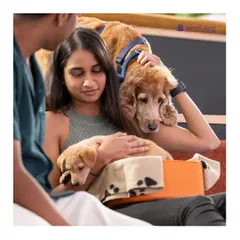 A moment of pure connection. An older dog gently rests its head on a new pet parent who is cuddling a young puppy. This image beautifully captures the spirit of adoption events, where families grow and love multiplies.