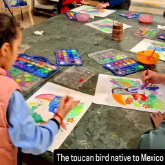 Students aged 6 to 9 work on their watercolor paintings of the toucan, a bird native to Mexico, as part of our themed project.