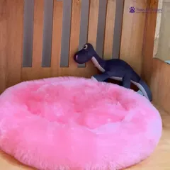 Every pet deserves a cozy place to rest. This plush, pink donut bed is one of the many comfortable options we provide in our luxury pet hotel and retail store, ensuring your pet feels safe and pampered.