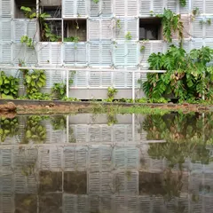 The facade of the Eklavya campus in Bhopal, reflected in the rainwater collected on site. This wall, made of reclaimed railway windows, is now draped in native creepers, creating a living skin that provides nesting spaces for birds and connects the building to the landscape.