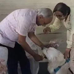 I was honored to speak at a Rotary Bangalore event about how dogs can be a part of therapy and mental health initiatives. My dog Coco was a perfect gentleman, charming the crowd and demonstrating the calm temperament of a great therapy dog.