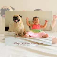 A candid moment showing the sweet bond between a baby and a Pug, sitting side-by-side on a bed as siblings by choice.