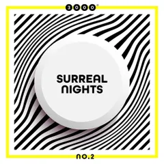 The official artwork for the "Surreal Nights" compilation on 3000 Grad, which featured my collaborative track "Story About Monk." Being part of compilations like this helps my music reach new listeners.