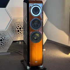 The stunning TAD Labs floor-standing speaker, showcased at the Munich High-End expo. With its beryllium tweeter and wood finish, it's a perfect blend of cutting-edge technology and timeless craftsmanship.