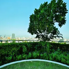 Our intensive systems can be engineered to support the weight and root structure of large trees. This creates a more authentic garden atmosphere and significantly enhances the ecological value of the urban space.