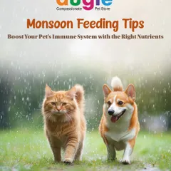 Monsoon season is here, and it's a good time to boost your pet's immune system with the right nutrients. Feeding the right food can help protect them from seasonal infections.