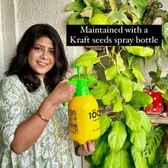 Keeping my plants happy and pest-free is easy with a good spray bottle. I use it for misting and applying my go-to neem oil solution.
