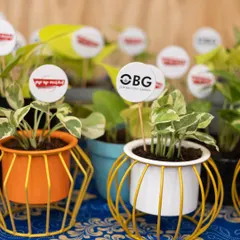 Gift a plant. 🪴 These small plants in colourful metal pots with stands are perfect as party favors or small tokens of appreciation. We can add custom tags for your event.