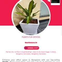 This is a snapshot of our offering for Bangalore offices. We provide a complete service to enhance your workspace with top-selling, productivity-boosting plants that are both beautiful and beneficial.