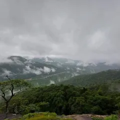 A panoramic view from Jenukallu Gudda, offering stunning vistas of the valleys and hills of the Western Ghats on our Yallapura trip.
