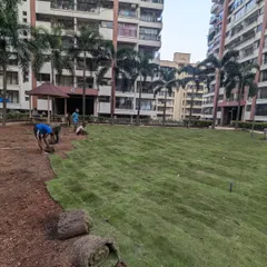 The process of laying the fresh grass carpet begins. We work methodically to ensure each piece fits together seamlessly for a uniform, green surface.