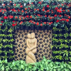 A vertical garden can be a work of art. For this home, I designed a living wall that frames a beautiful sculpture, using flowering red Ixora plants to create a stunning, high-impact centerpiece that feels both natural and elegant.