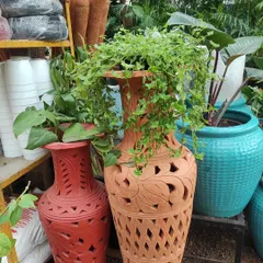 A look at some of the beautiful pots we have in store at our Horamavu branch. This display features intricately carved terracotta urns and colorful glazed ceramic planters, perfect for making a statement.