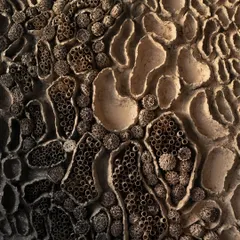 The magic is in the details. This is a close-up of my artwork "Self Discovery," where you can see the intricate textures I create using upcycled paper. Each layer tells a story, and the way it plays with light brings a different feeling as your day goes on.