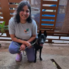 I believe that adopted Indian dogs are a breed apart, and it is always an honor to earn their trust. Here I am with five month old Joy, who has come so far from his life on the streets to being a cherished family member. My goal is to help families understand the unique needs of indie dogs and build a beautiful, trusting relationship from day one.