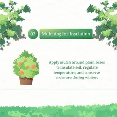 Protecting your garden during Delhi's harsh winters is crucial. Applying mulch is one of the techniques we use to insulate the soil and regulate temperature, ensuring your plants stay safe and healthy through the cold.