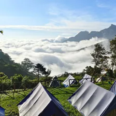 This is how you wake up in Munnar. My camping trips offer views like this, with tents pitched above a sea of clouds. I handle all the camping gear, so you just need to show up and enjoy the sunrise.