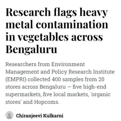 Recent research highlights the unfortunate reality of contamination in store-bought vegetables. This is why we are so passionate about empowering you to grow your own food, giving you complete control over what’s on your family’s plate.