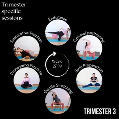 My third-trimester yoga sessions are designed to build endurance, encourage optimal positioning, and prepare you for birth through gentle, restorative practices.