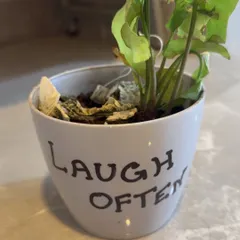 A simple reminder in our studio to "Laugh Often." We believe in creating a positive and happy environment for every child.
