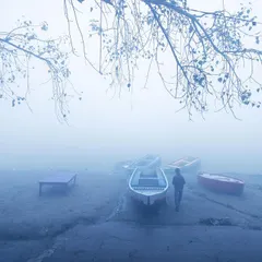 A lone figure walks by boats on the shore of the Yamuna, the bare branches of a tree framing the minimalist and serene foggy scene.