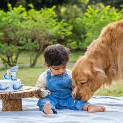 Best friends forever, right from the start. I've been lucky enough to photograph Ollie and Aariv's journey from maternity shoot to first birthday. This image from the cake smash shows the beautiful bond between a boy and his dog.