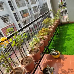 A classic apartment balcony garden setup. We used simple terracotta pots and metal stands to create a clean, organized, and sunny spot for growing flowers and vegetables, all protected by a safety net.