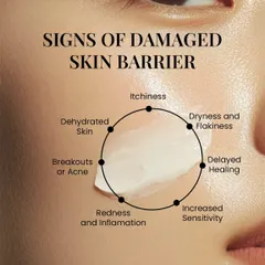 What are the signs of a damaged skin barrier? Itchiness, dryness, increased sensitivity, redness, breakouts, and dehydrated skin. Your skin barrier is your natural shield, and it's crucial to protect it.