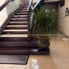 Elevating an entryway with a large, bushy Ponytail Palm in an ornate, rustic pot. Its placement at the base of the modern wooden staircase creates a beautiful contrast between natural and architectural elements.