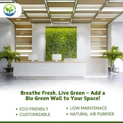 Our bio green walls offer a customizable, low-maintenance solution for bringing nature indoors. As natural air purifiers, they enhance the aesthetic of any space while contributing to a healthier, more productive atmosphere in offices and commercial lobbies.