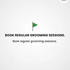 Booking regular sessions is a huge green flag. It keeps your pet's coat healthy, prevents matting, and makes them comfortable with the grooming process.