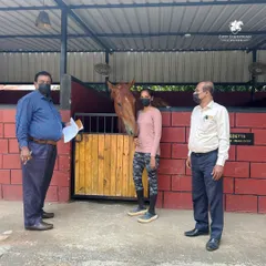 We were proud to host officials from the Department of Animal Husbandry for an inspection. This image captures the moment they commended our high standards of maintenance and officially confirmed our stables as glanders-free, a testament to our non-negotiable commitment to health and safety.