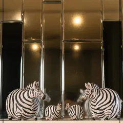 I dare to explore modern luxury with the Wild Noir Collection. These striking zebra figurines, set against a sleek backdrop, celebrate fierce beauty and the power of monochrome, bringing a dramatic yet elegant statement to the contemporary home.