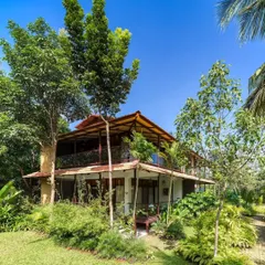 Our villas are designed to blend seamlessly with nature, offering a tranquil and private escape surrounded by vibrant greenery.