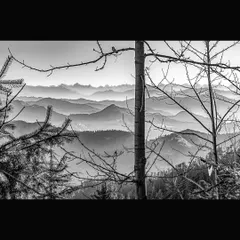 This fine art landscape from Himachal Pradesh frames the distant mountain range with the stark branches of a tree. The black and white format enhances the graphic quality and the serene, layered composition of the scene.