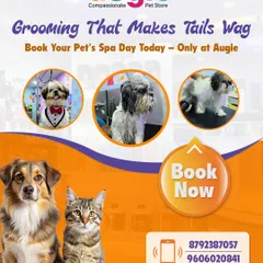 We offer grooming that makes tails wag! Whether you have a dog or a cat, book their next spa day with us. We pamper every pet with the love, care, and professional attention they deserve.