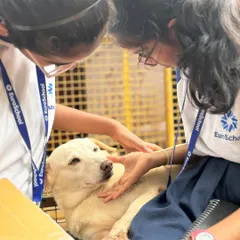 Two students from EuroSchool carefully pet one of our senior dogs. Our school programs provide a safe and supervised environment for children to connect with animals of all ages and temperaments.