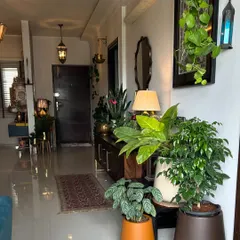 This view shows how the plant corner fits into the larger living space, adding a significant green element to the room's overall design.