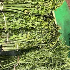 Freshly foraged fiddlehead ferns, known as Dhekia Xaak in Assamese. These are a seasonal delicacy, best when stir-fried simply to retain their crisp texture and earthy taste.