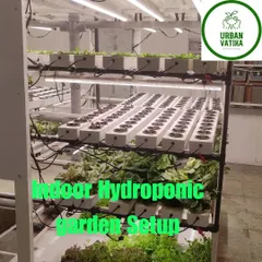 No soil, no mess, just fresh greens. This is an indoor vertical hydroponic garden I installed, perfect for growing lettuce, herbs, and other vegetables right in your kitchen using specialized LED grow lights.