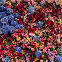 A flower wall should be a living tapestry of color and texture. I designed this backdrop with frothy hydrangeas and a dense field of vibrant roses to create an immersive and dreamy setting, perfect for photos at a bridal shower or special event.