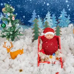 A festive newborn portrait for the holidays. This little one is nestled in a tiny sleigh, dressed in a Santa-inspired wrap, creating a perfect first Christmas memory.